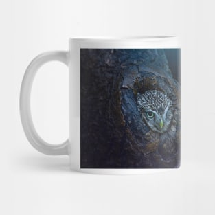 Little Owl and Winter Moon Mug